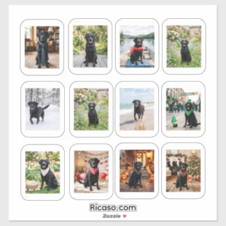 12 Personalized Photo With White Frame Sticker