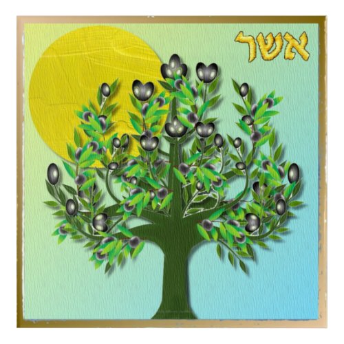 12 Tribes of Israel Asher Acrylic Wall Art