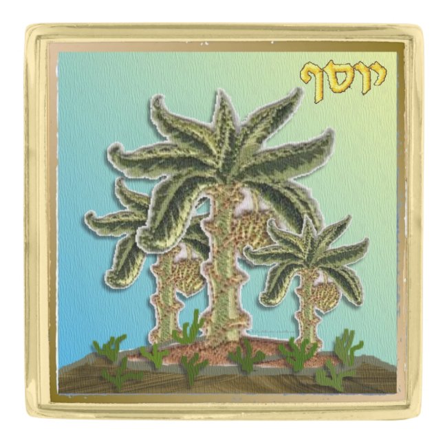 12 Tribes of Israel Joseph Tie or Lapel Pin (Front)