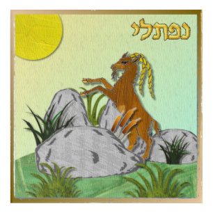 12 Tribes of Israel Naphtali Acrylic Wall Art