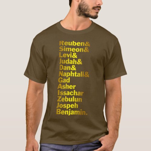 12 Twelve Tribes of Israel  Hebrew Israelite T_Shirt