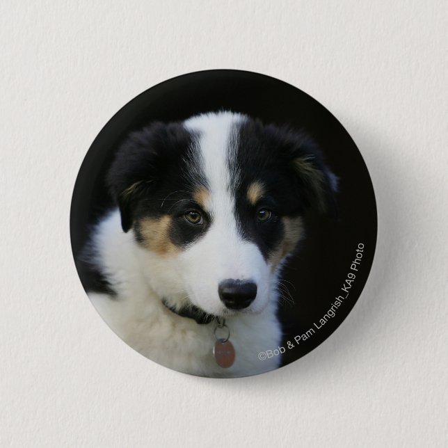 12 Week Old Border Collie Puppy Button (Front)