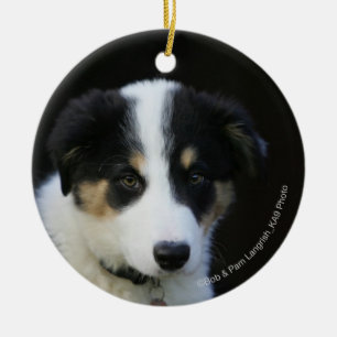 12 Week Old Border Collie Puppy Ceramic Ornament