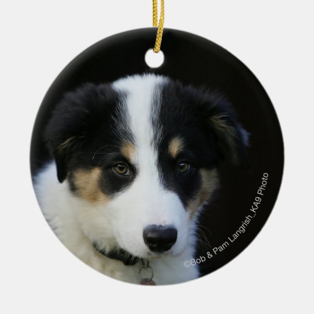 12 Week Old Border Collie Puppy Ceramic Ornament (Front)