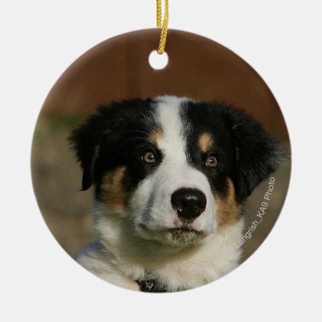12 Week Old Border Collie Puppy Headshot Ceramic Ornament (Front)
