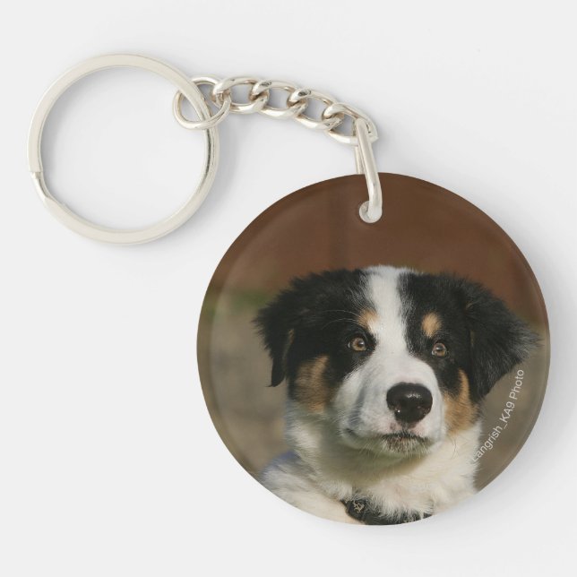 12 Week Old Border Collie Puppy Headshot Keychain (Front)