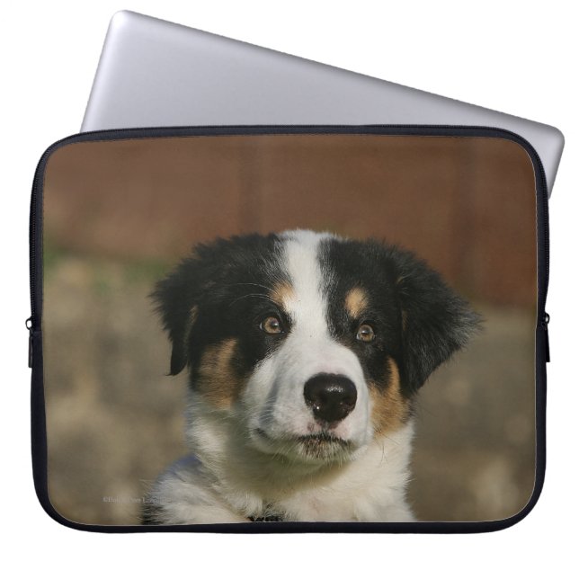 12 Week Old Border Collie Puppy Headshot Laptop Sleeve (Front)
