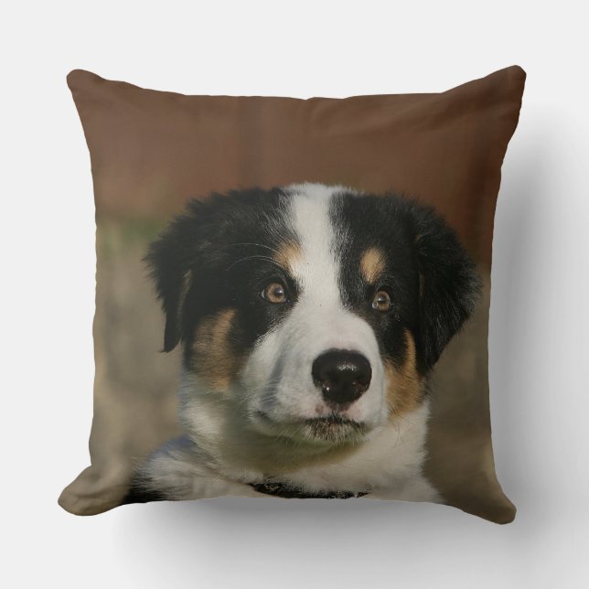12 Week Old Border Collie Puppy Headshot Throw Pillow (Front)