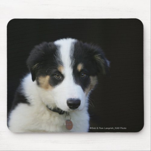 12 Week Old Border Collie Puppy Mouse Pad