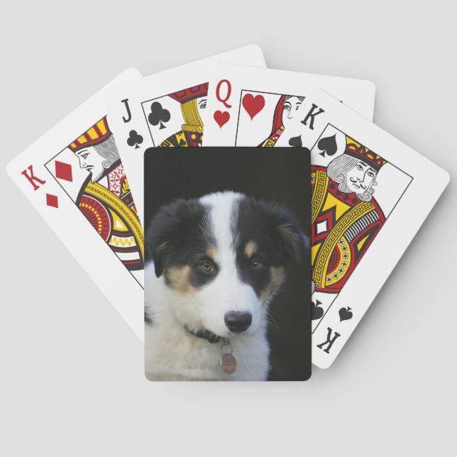 12 Week Old Border Collie Puppy Poker Cards (Back)
