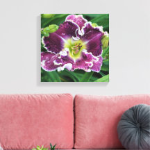 12"x12" Daylily