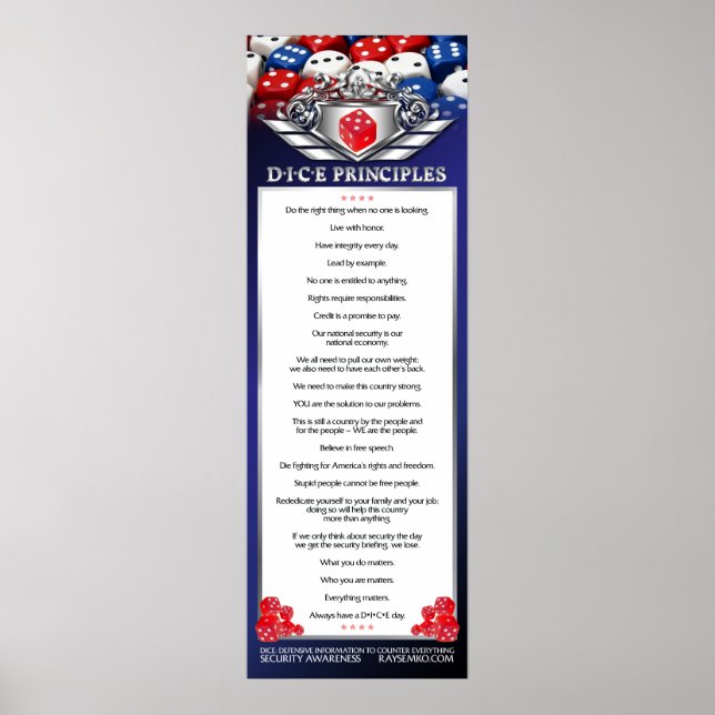 12"x36" DICE Principles Poster (Front)