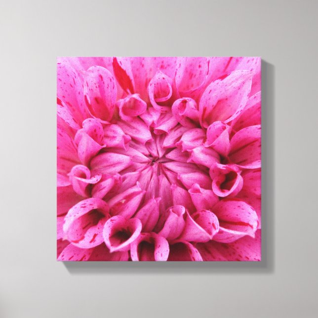 12" x 12" Wrapped Canvas - Pink Flower (Front)
