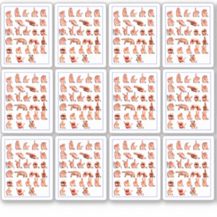12pcs American Sign Language Alphabet Board, Asl  Sticker