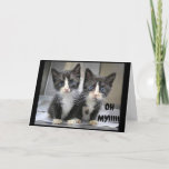 **12th BIRTHDAY** KITTENS SAY WOW!!!! Card<br><div class="desc">LET HIM OR HER KNOW THAT YOU ARE SO HAPPY FOR HIM OR HER ON **13th** BIRTHDAY AND YOU CAN CHANGE THE AGE AND THE VERSE IF YOU WISH!!!!!   THANKS FOR STOPPING BY ONE OF MY EIGHT STORES!</div>