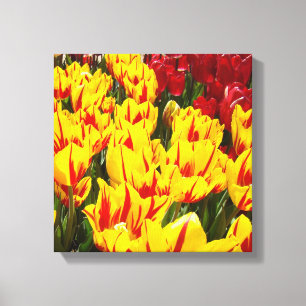 12x12 Canvas Floral Art Prints Yellow Red Tulips