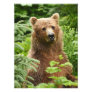12x16 Satin finish photo of grizzly bear