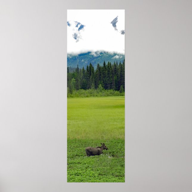 12x36  Poster Paper (Matte) of moose (Front)