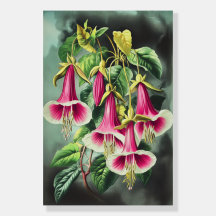 1359 Floral, Electric Energy