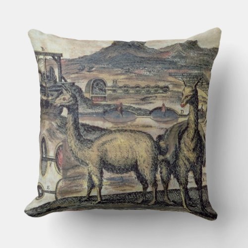 137_0627924 Illustration from a history of Peru sh Throw Pillow