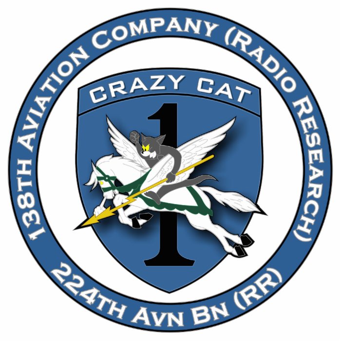 138th Avn Co   Crazy Cat Photo Cut Out