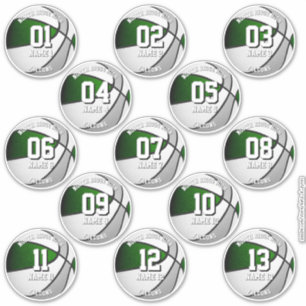 13 basketball sticker set green gray team colors