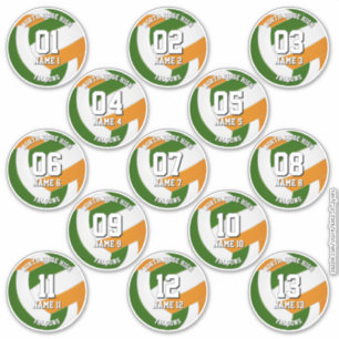 13 green orange team colors volleyball players sticker