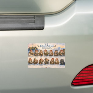 13 Icelandic Yule Lads Christmas in Iceland Car Magnet