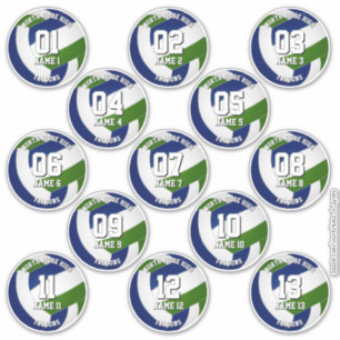 13 kids teens blue green volleyball club colors sticker