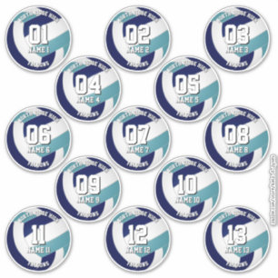 13 kids teens navy teal volleyball club colors sticker