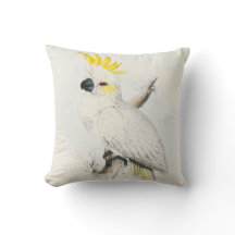 #13-Lesser sulfur-crested cockatoo