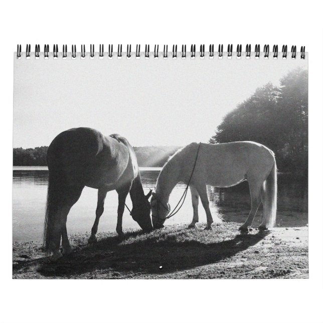 13 month 2011 Calendar (Cover)