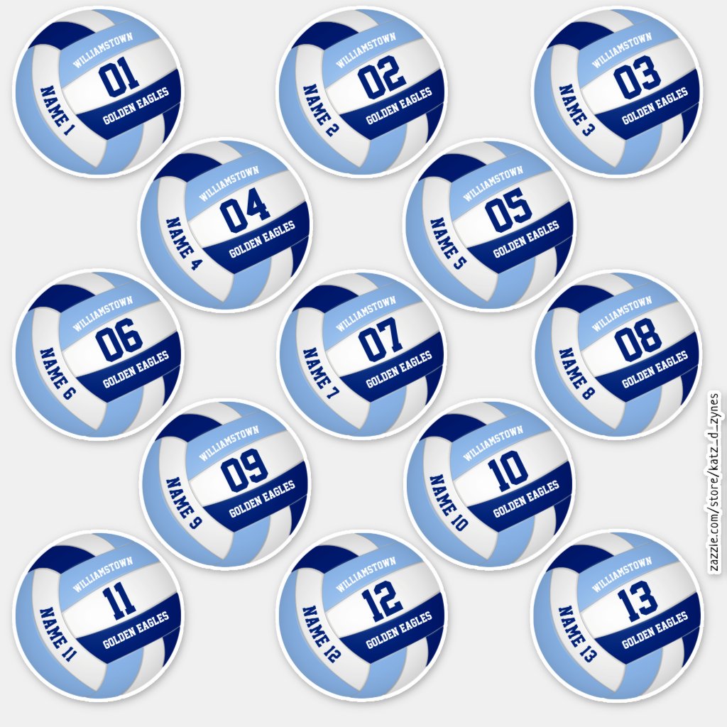 13 piece players' names blue white volleyball stickers
