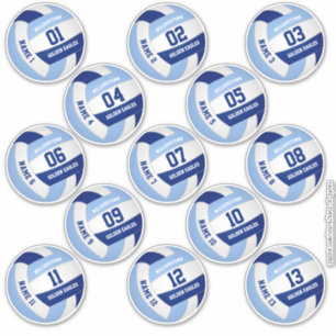 13 piece players' names blue white volleyball sticker