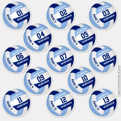 13 piece players names blue white volleyball sticker