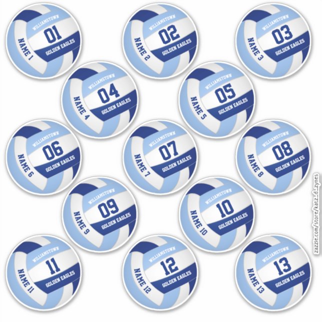 13 piece players' names blue white volleyball sticker (Front)