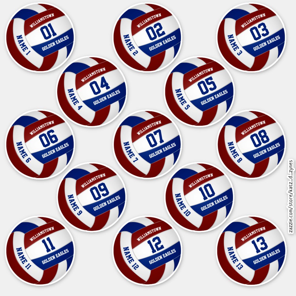 13 piece players' names maroon blue volleyball stickers