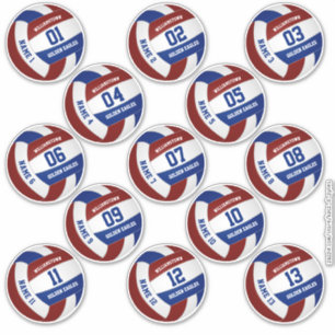 13 piece players' names maroon blue volleyball sticker