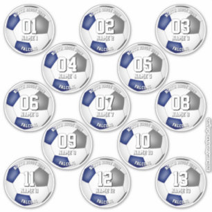 13 soccer players set of blue gray team colors sticker