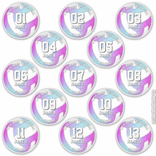 13 volleyball players pink purple blue sticker