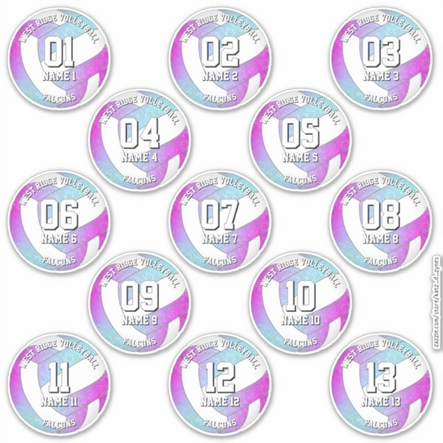 13 volleyball players pink purple blue sticker (Front)