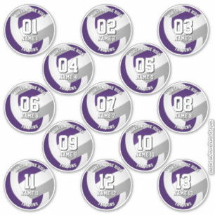 13 volleyball players purple gray team colors sticker