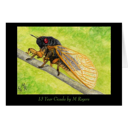 13 Year Cicada Painting Cards (Front Horizontal)