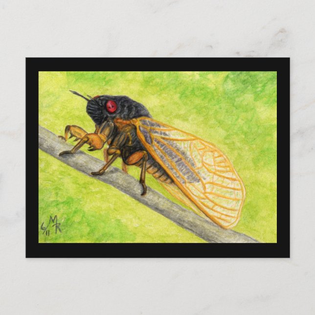 13 Year Cicada Painting Postcard (Front)