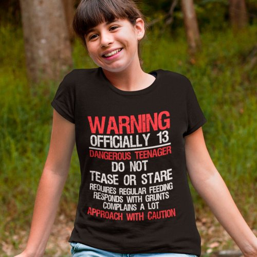 13 Years Warning Dangerous Teenager 13th Birthday T_Shirt