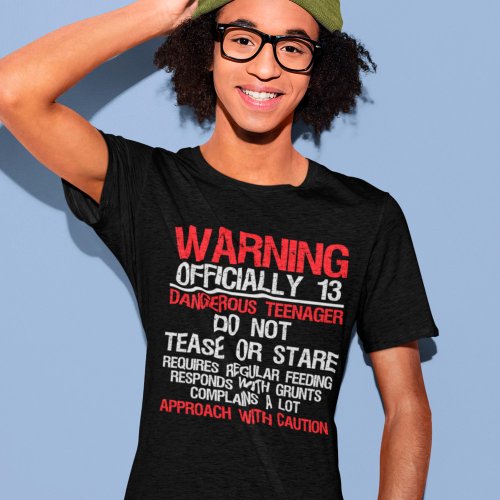 13 Years Warning Dangerous Teenager 13th Birthday T_Shirt