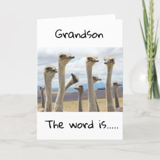 **13** YOU ARE NOW A TEENAGER **GRANDSON** CARD