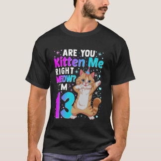 13th Birthday Cat Design for 13 Year Old Birthday T-Shirt