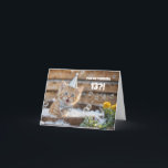 13th Birthday Cute and Funny Kitty in Bath Custom Card<br><div class="desc">A playful and adorable kitten splashing in a bath to celebrate a 13th birthday,  accompanied by a cheerful and witty message!</div>