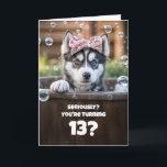 13th Birthday Cute and Funny Surprised Husky Card<br><div class="desc">This lovely card features a cute little husky with a surprised expression,  adding a playful charm. It can be customized for any age,  with this design created especially for a 13th birthday.</div>